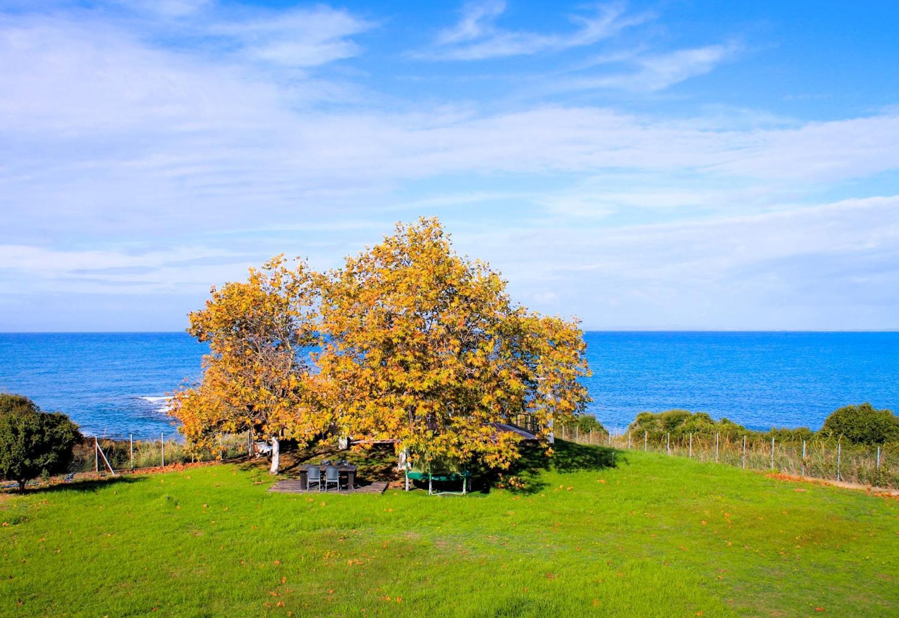 Sea Breeze Ena Apartment Korakochori Bagian luar foto